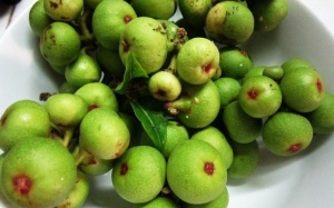 Bạn sẽ mua ngay sung về ăn khi biết những lợi ích này