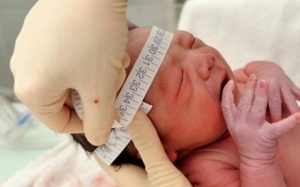 Zika có thể lây qua mồ hôi và nước mắt?