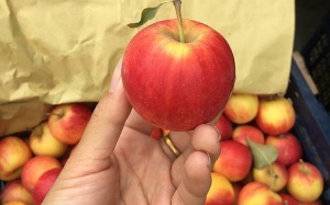 Ngon mắt, sướng mồm: 5 loại quả đích thị hàng Tàu vẫn mua