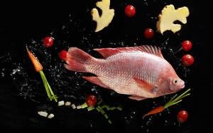 Top 16 loại thủy - hải sản nhiễm độc nặng nhất nên tránh ngay