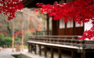 Chào đón ngày 14/10/2016 với tử vi 12 cung hoàng đạo!