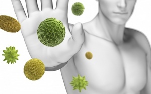 10 thứ cần ăn ngay để 'chống chọi' với mùa đông lạnh giá!