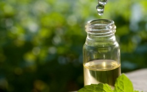 Vì sao nhà nào cũng cần có một chai tinh dầu tràm trong mùa Đông?