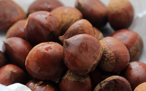 Những món ngon từ hạt dẻ