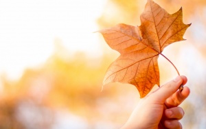 Ngày 16/10/2016 có gì đặc biệt với 12 cung hoàng đạo?