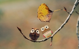 Tử vi 12 cung hoàng đạo thứ bảy (15/10/2016) 