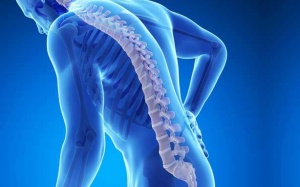 5 phương pháp tự nhiên giúp phòng ngừa chứng loãng xương