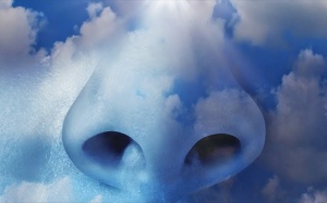 Ngoài ung thư, ô nhiễm môi trường còn 'giết' bạn vì gây ra những bệnh gì?