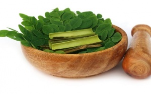 5 lợi ích sức khỏe của lá chùm ngây