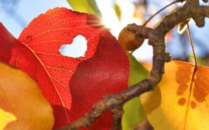 Điều gì chờ đón bạn trong ngày Phụ nữ Việt Nam 20/10?