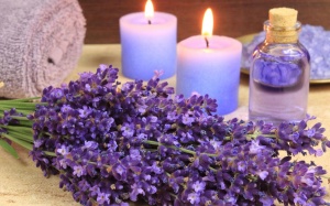 Đối phó với đau lưng bằng tinh dầu hoa oải hương