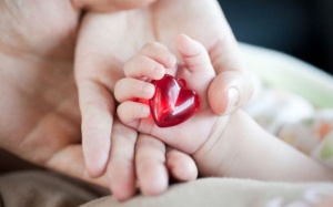 Các dạng dị tật tim bẩm sinh ở trẻ em