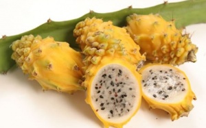 Có gì trong thanh long vàng – thứ quả đắt gấp 23 lần thanh long đỏ?