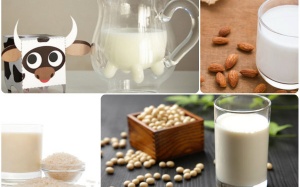 Sữa bò, sữa đậu nành, sữa gạo, sữa hạnh nhân: Loại nào tốt nhất?