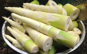 3 loại thực phẩm gây nguy hiểm chết người nếu chế biến sai cách