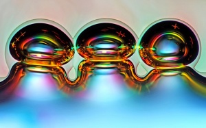 Chiêm ngưỡng 'thế giới thu nhỏ' qua những hình ảnh ấn tượng dưới kính hiển vi