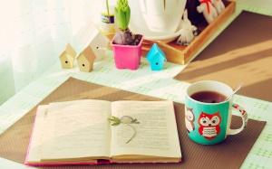 Chủ nhật (30/10/2016) có gì đặc biệt với bạn?