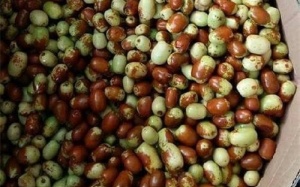 Táo tàu Hàn Quốc xách tay, đắt đỏ vẫn cháy hàng