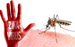 TP.HCM đã phát hiện 17 trường hợp nhiễm virus Zika