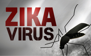 Virus Zika làm giảm khả năng sinh sản của nam giới?