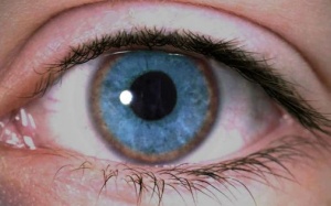 Làm thế nào để biết cơ thể đang tích trữ quá nhiều đồng?