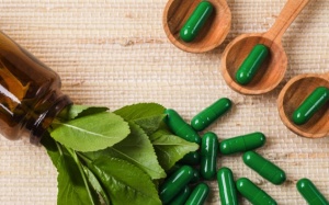 5 dược thảo ít được biết tới nhưng đầy tiềm năng cho ngành TPCN