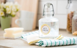 Mẹo hay dùng giấm để làm sạch phòng khách và phòng ngủ