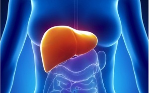 4 cách ngăn ngừa gan nhiễm mỡ ở phụ nữ bị buồng trứng đa nang