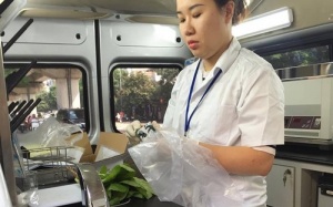 Phát hiện mẫu rau cải nhiễm thuốc sâu nhờ kiểm nghiệm nhanh tại chỗ