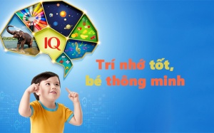 1.000 ngày đầu đời trẻ cần dưỡng chất gì để phát triển trí não?