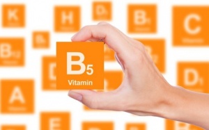 Lợi ích của vitamin B5 đối với sức khỏe và làm đẹp