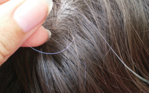 Những nguyên nhân khiến tóc bạc sớm trong độ tuổi 20