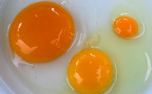 Màu lòng đỏ trứng đậm hay nhạt thì tốt với sức khỏe hơn?