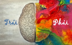 Mối quan hệ giữa động kinh và vùng não bị tổn thương