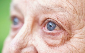 TPCN nào giúp khắc phục thoái hóa điểm vàng?