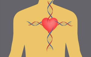 Bệnh tim di truyền vẫn có thể phòng tránh được?