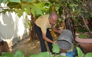 Đà Nẵng: Sốt xuất huyết tăng mạnh