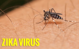 TPHCM: Quận huyện “than khó” trong chống dịch Zika