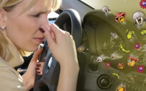 Xe hơi cũng là nguồn lây nhiễm bệnh