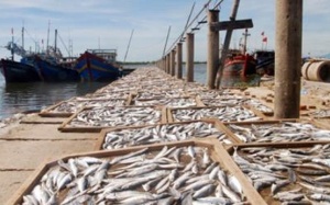 Bộ Y tế tiếp tục xét nghiệm hải sản ở tầng đáy, công bố kết quả vào cuối tháng 12/2016