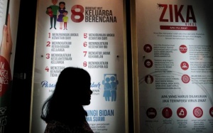 WHO dỡ bỏ tình trạng khẩn cấp về y tế toàn cấu đối với Zika