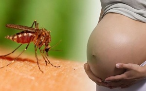 9 thai phụ ở TP.HCM nhiễm virus Zika
