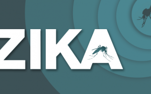 Virus Zika lan rộng 16 quận huyện Sài Gòn