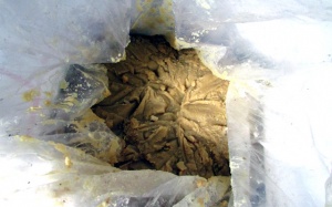 Bắt quả tang cơ sở đưa 7 tạ mỡ bẩn đi Hà Nội tiêu thụ