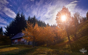 Chùm ảnh mùa thu đẹp huyền ảo từ một chiếc máy ảnh chỉ 5 triệu đồng