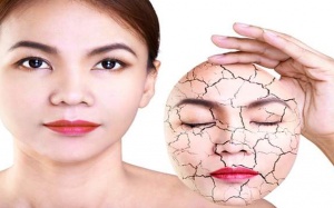 7 thực phẩm 'cấp cứu' cho làn da khô trong mùa Đông