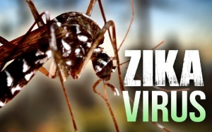 Đã từng nhiễm Zika liệu có bị lại không?