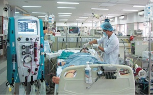 GS.TS Nguyễn Gia Bình: Lo ngại virus cúm biến đổi gene, độc lực cao