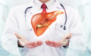 Chế độ ăn giàu protein có thể có lợi cho người bị gan nhiễm mỡ