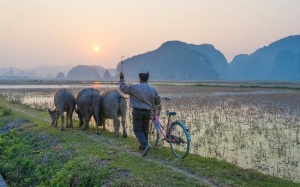 Du khách nước ngoài chia sẻ những điểm đến đẹp tại Việt Nam